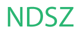 New Disabled South Rising Inc. logo